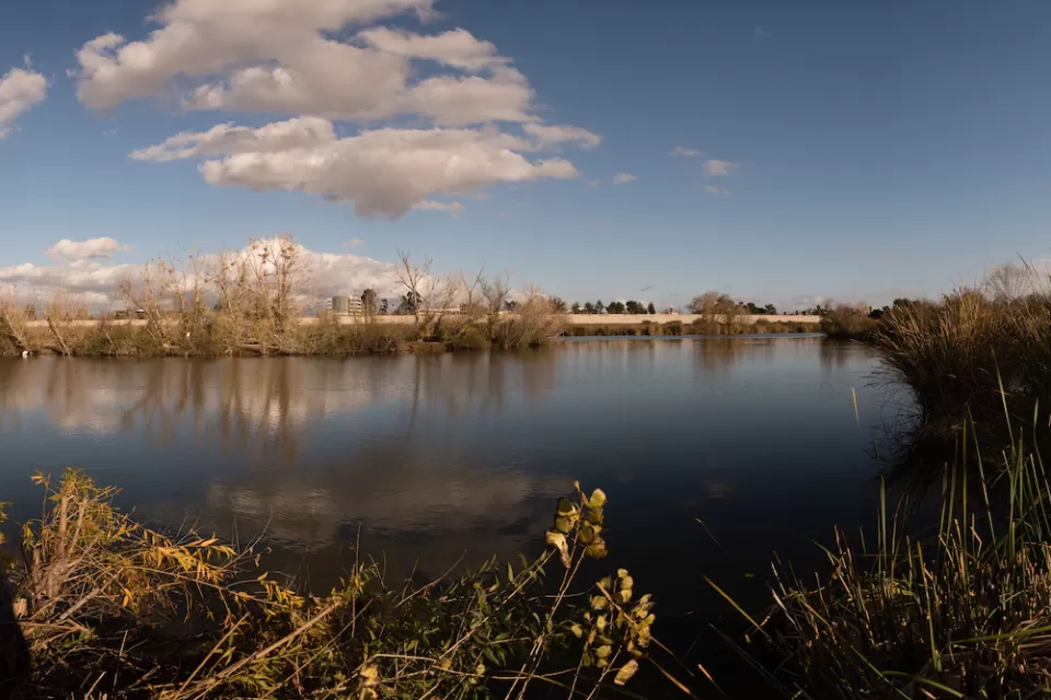 View from shore of Sepulveda Basin water catchment basin with marsh plants along shore.